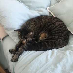 Meet your Posher, Myles